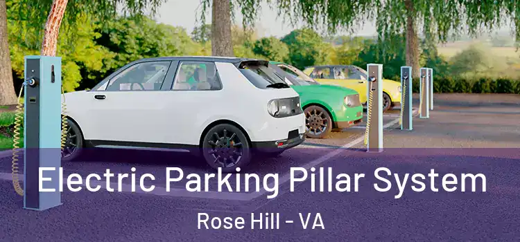 Electric Parking Pillar System Rose Hill - VA