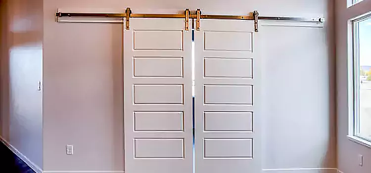 Glass Barn Door with Installation Hardware Kit Rose Hill