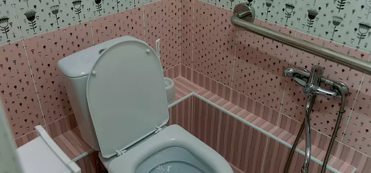 Meeting Diverse Needs With Accessible Restroom Solutions in Rose Hill, VA