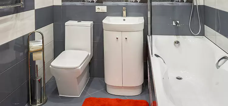Hansgrohe Shaving Mirror Rose Hill