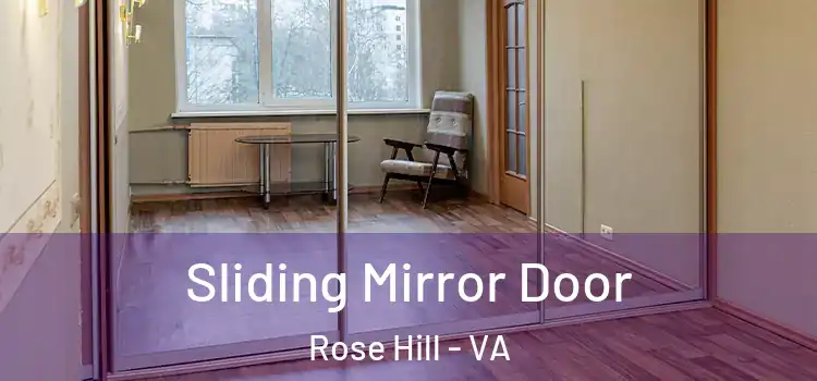  Sliding Mirror Door Rose Hill - VA